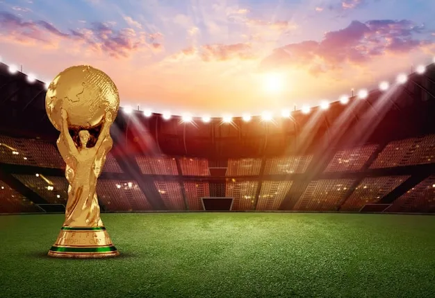 3377体育在线官网